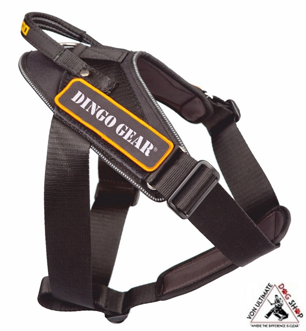 Dingo gear dog clearance equipment