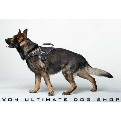 Ultimate dog outlet gear