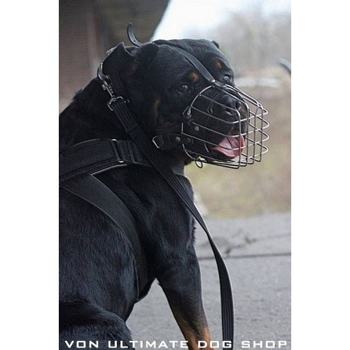 Rottweiler gear outlet