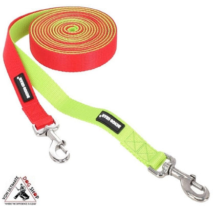 Dingo Gear Set of Training Leashes