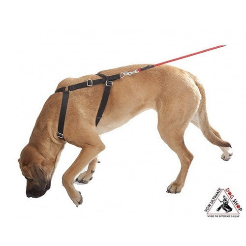 Dog sales tracking harness