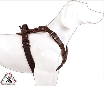 Dingo Gear Amos Leather Harness