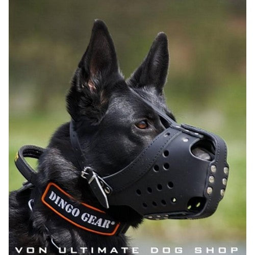 Dingo Gear S03044 Muselière en métal caoutchoutée K9 pour chien, boxeur,  chien, professionnel, confortable, produit universel pour les longues